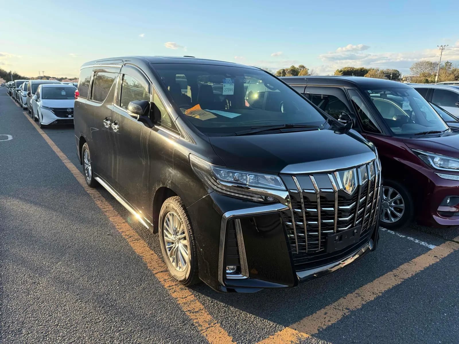 ALPHARD